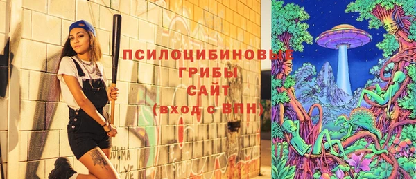 мяу мяу мука Алзамай