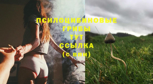 сатива Алексин