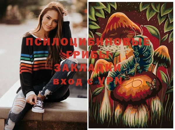 mix Алексеевка