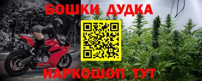 сатива Сланцы