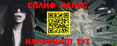 сатива Сланцы