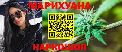 сатива Сланцы