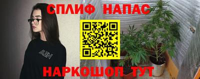 сатива Сланцы