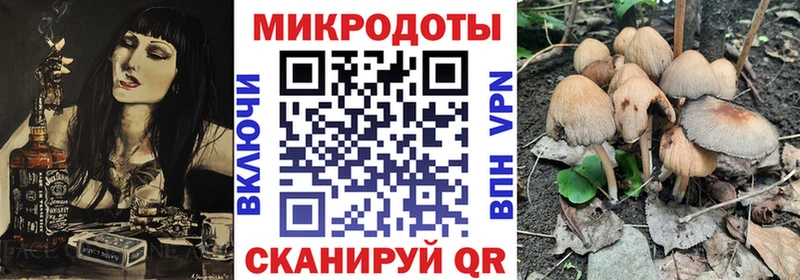 Галлюциногенные грибы GOLDEN TEACHER  omg tor  Петрозаводск 