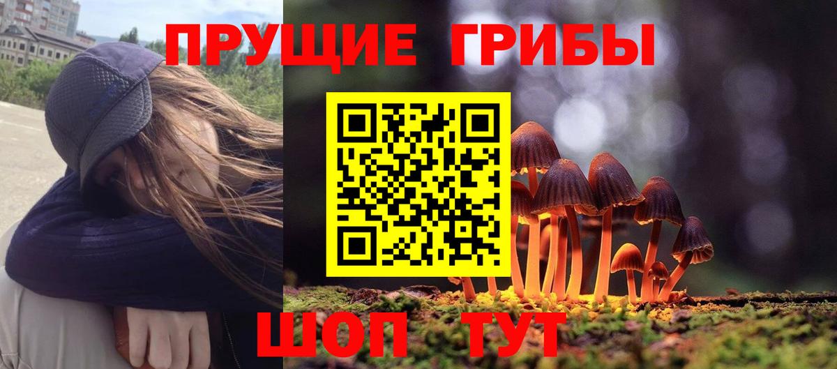 Галлюциногенные грибы Psilocybe  Вход с VPN  купить наркоту  Петрозаводск 