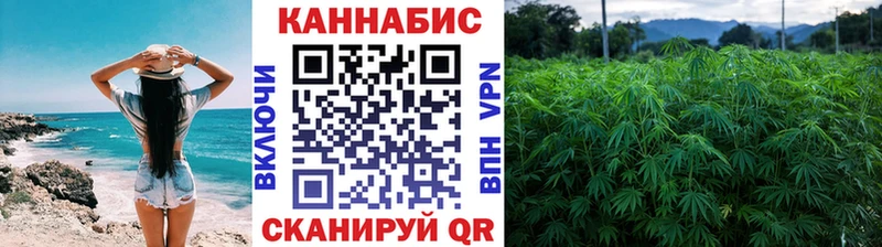 mega вход  Петрозаводск  Бошки марихуана индика 